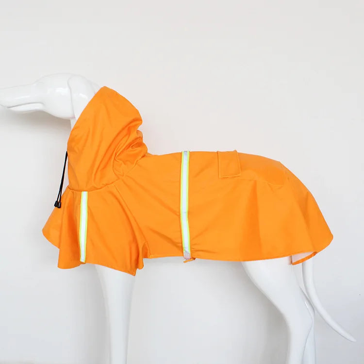 Dog raincoat