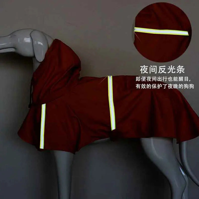 Dog raincoat