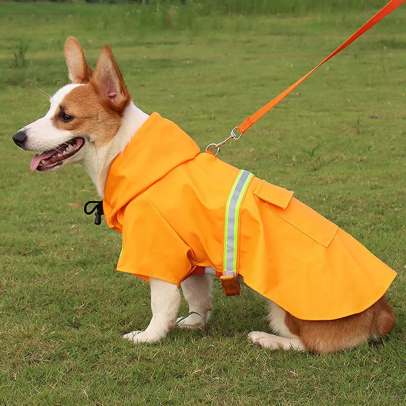 Dog raincoat