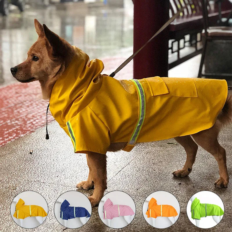 Dog raincoat